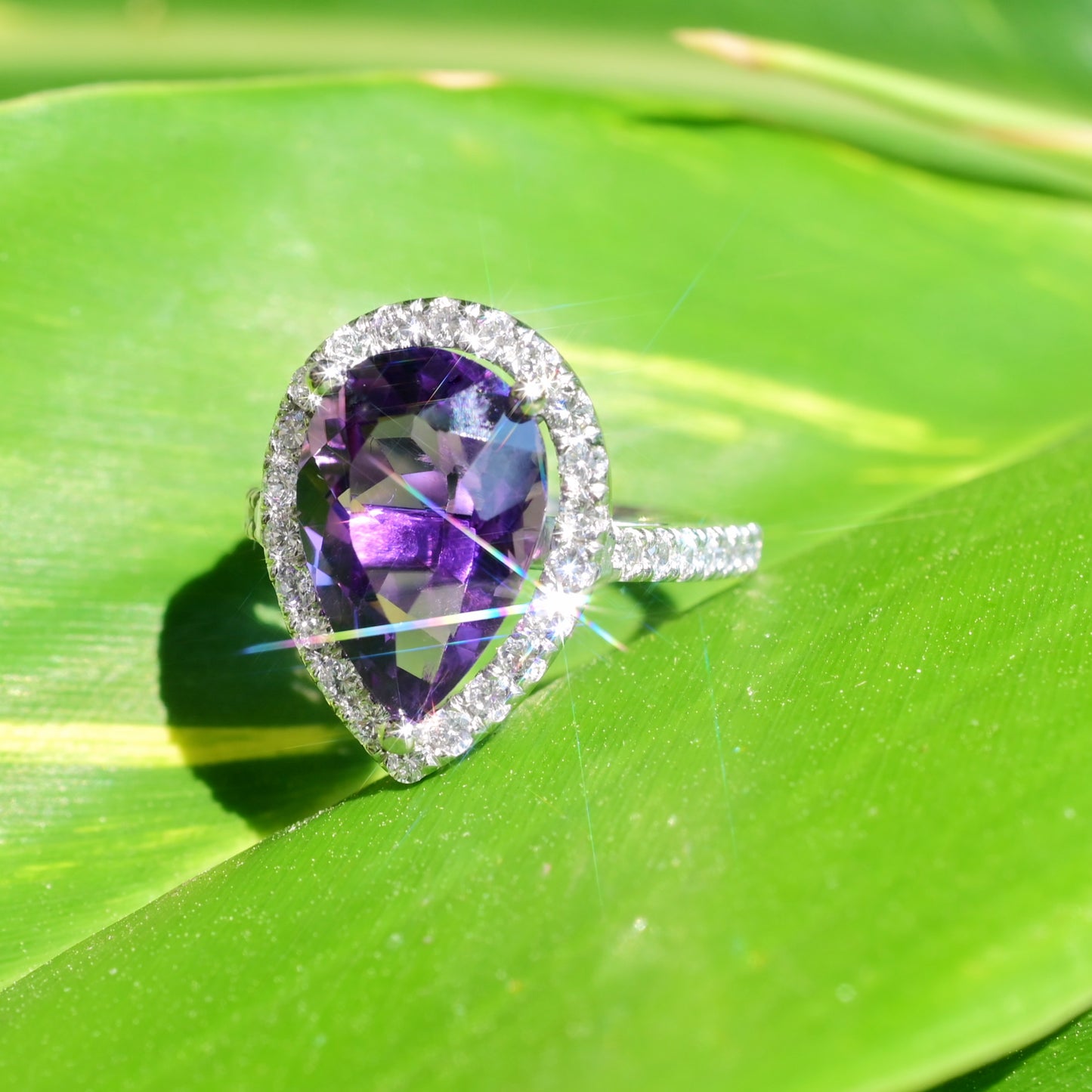 Amethyst Halo Ring