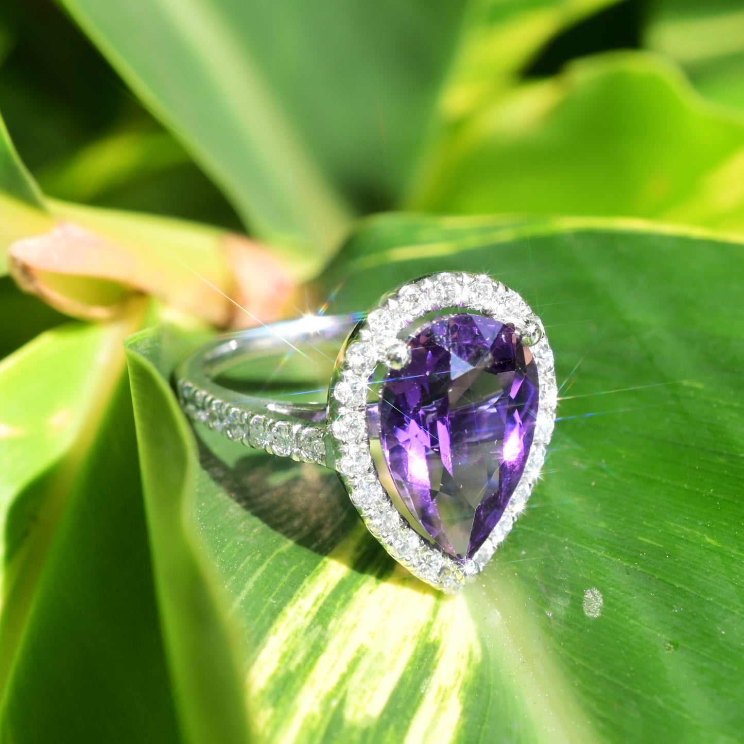 Amethyst Halo Ring